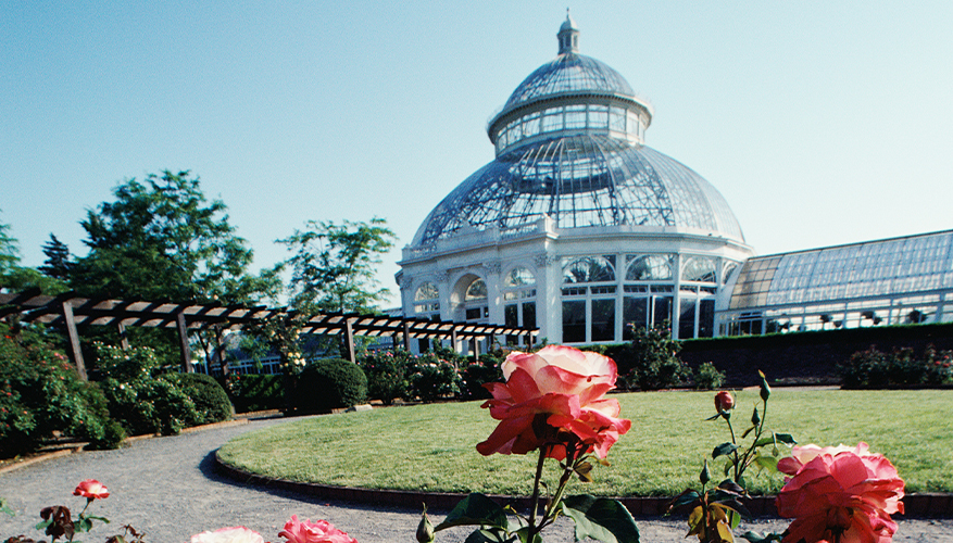 New York Botanical Garden